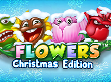 Flowers Christmas Edition DNT